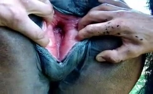 Порно деревенское. Традиции семейных шахматных партий: дедушка и внук